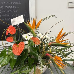 Arrangement avec plante - Nouveauté 8